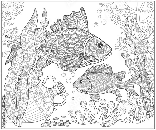 12 527 Ornamental Fish Wall Murals Canvas Prints Stickers Wallsheaven