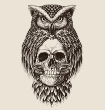 Elaborate Drawing Of Owl Holding Skull