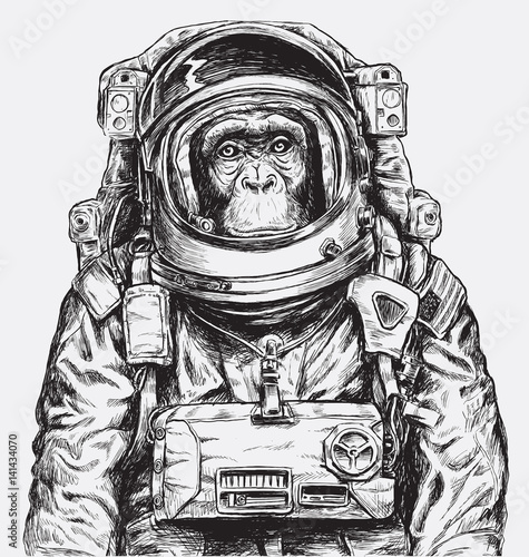 malpa-w-stroju-astronauty
