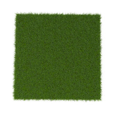 Wall Mural - Square of Fescue Grass field over white. 3D illustration