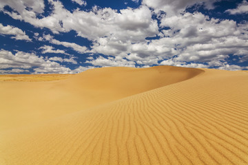 Picturesque desert landscape on the background of blue sky and w