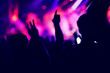 © salajean - Crowd rocking during a concert with raised arms.