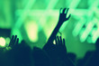 © salajean - Crowd with arms outstretched at concert