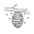 Vector sketch of beehive