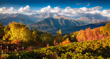Colorful Autumn Morning In The Caucasus Mountains.