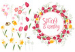 © Anna Tyukhmeneva - Round frame with pretty flowers tulips and daffodils and text Spring is coming. Festive floral circle for your season design.