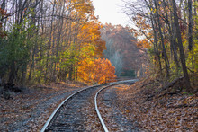 Railroad Tracks And Autumn Foliage