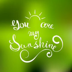 Vector hand lettered typography poster You are my Sunshine on blurred background.