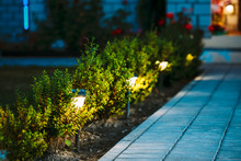 Night View Of Flowerbed With Flowers Illuminated By Energy-Savin