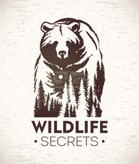 bear, vector illustration of a combined with a landscape symbolizing wildlife.