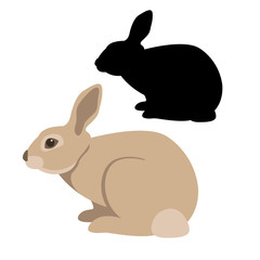 Wall Mural - rabbit vector illustration style Flat set silhouette