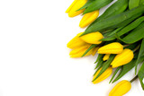 Fototapeta Tulipany - 
Yellow tulips on a white background. A gift for Valentine's Day, Mother's Day, the eighth of March. Flowers for your girlfriend
