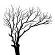 silhouette on tree isolated vector