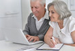 © aletia2011 - Elderly couple with a laptop