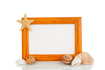 Picture frame with shells on white background