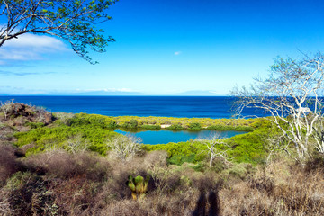 Wall Mural - Santiago Island Landscape