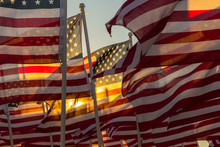 A Group Of American Flags Waving During The Late Afternoon Sunset.