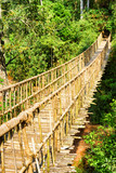 Fototapeta Dziecięca - Beautiful simple suspension bridge over gorge