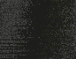 Wall Mural - Corrupted source code. Modern vector illustration about computer security. Abstract ascii glitch background. Fatal programming error. Buffer overflow problem. Random signal error. Element of design.