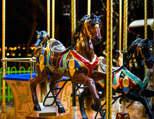 Horse Carousel