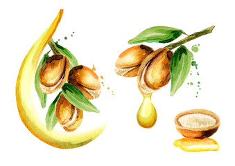 Poster - Set of argan oil compositions, can be used as a design element for the decoration of cosmetic or food products using argan oil. Hand-drawn watercolor sketch