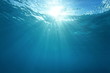 © dam - Pacific ocean underwater sunlight through water surface, natural scene, French Polynesia