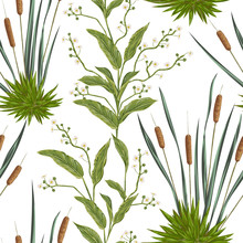 Seamless Pattern With Bulrush And Swamp Plants. Vintage Hand Drawn Vector Illustration In Watercolor Style