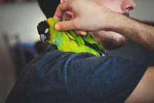 Young Man Cuddle His Pet Parrot On Shoulder