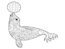 Fur Seal Coloring Vector For Adults