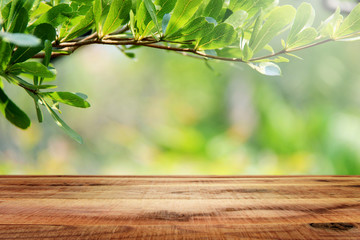 Wall Mural - Wooden empty and green leaf nature background.