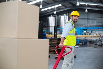 Wall Mural - Factory worker pulling trolley of cardboard boxes in factory