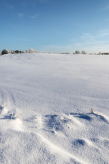 Wall Mural - Snowy winter landscape.