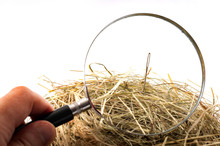 The Idiom Or The Figure Of Speech “look For A Needle In A Haystack” Is Used To Describe Something Elusive In A Large Space Or A Sisyphean Task. Magnifying Glass On The Needle Is Isolated On White