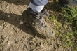 © lourdesphoto - Muddy walking boot on muddy ground