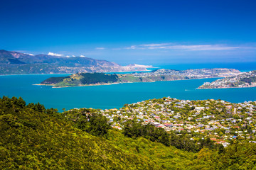 Wall Mural - Location: New Zealand, capital city Wellington. View from the SkyLine track and Mount KayKay