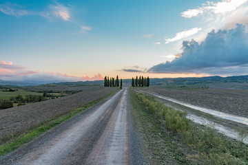 Wall Mural - panorama of Siena in the Val d'Orcia and the Chianti hills