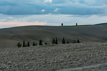 Wall Mural - panorama of Siena in the Val d'Orcia and the Chianti hills