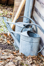 Two Vintage Watering Cans Standing Outside In Leafs