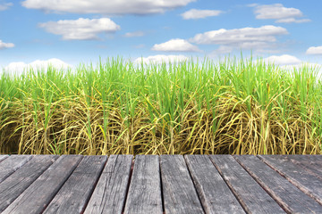 wood table on Prepare Sugarcane Field