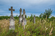 Stary opuszczony cmentarz