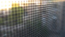 Mosquito Grid Screen Texture On The Window