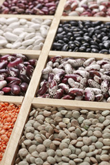 Poster - Various beans in box