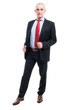 © Catalin Pop - Full body senior business man posing