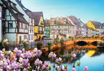 Wall Mural - canal of colmar, most famous town of alsace at spring day, france
