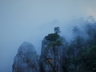  Morning mist & fog covers rock pillars