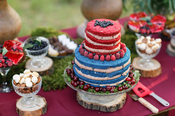 Wall Mural - Wedding in the forest. cake with berries, Blueberries and raspberriess on the table. Fourchette, a lot of food on the table