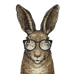 Cute Easter bunny with glasses. Cartoon vector illustration