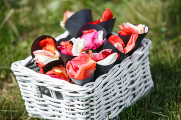 Wall Mural - Wedding. Ceremony. On green grass there are envelopes with rose petals for wedding ceremony