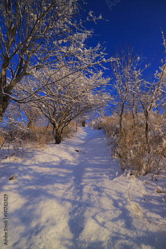 山中湖大平山から雪景色の登山道 Buy This Stock Photo And Explore Similar Images At Adobe Stock Adobe Stock 山中湖大平山から雪景色の登山道 Buy This Stock Photo And Explore Similar Images At Adobe Stock Adobe Stock