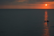 Orange Sunset Reflected In The Sea. Orange Streak Og Light. Beautifull Background.